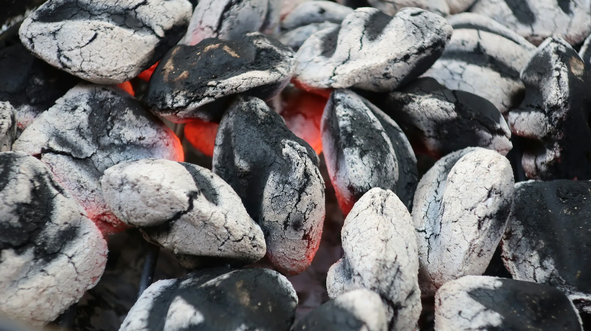 Dřevěné uhlí, nebo brikety? Jak vybrat palivo na gril
